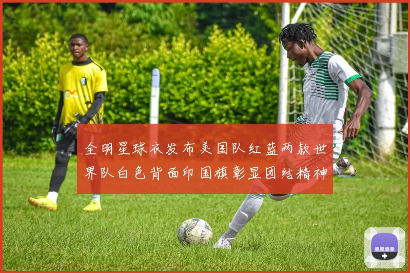 全明星球衣发布美国队红蓝两款世界队白色背面印国旗彰显团结精神